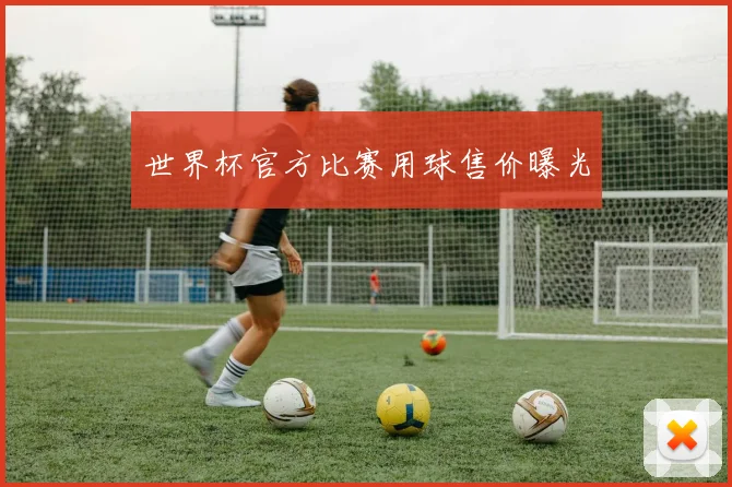 世界杯官方比赛用球售价曝光