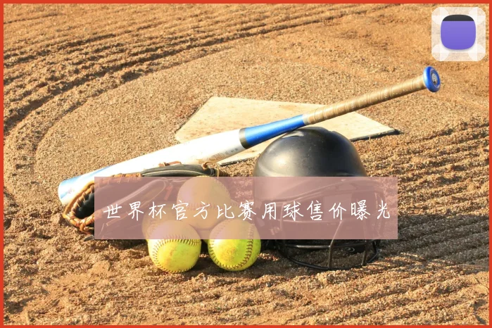 世界杯官方比赛用球售价曝光