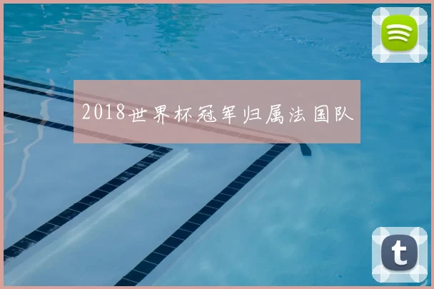 2018世界杯冠军归属法国队