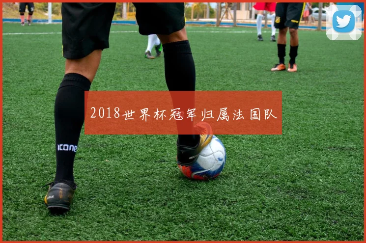 2018世界杯冠军归属法国队