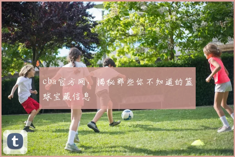 cba官方网，揭秘那些你不知道的篮球宝藏信息