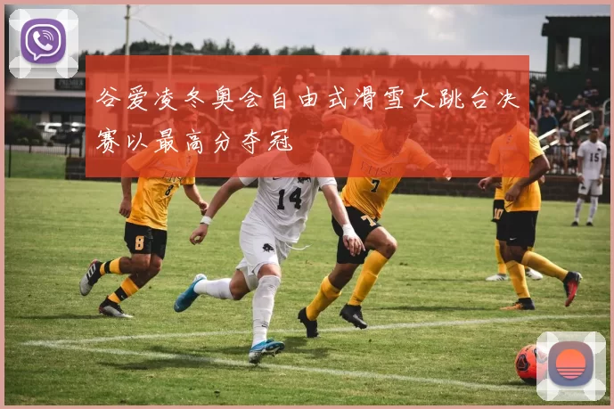 谷爱凌冬奥会自由式滑雪大跳台决赛以最高分夺冠