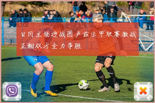 甘冈主场迎战图卢兹法甲联赛激战正酣双方全力争胜